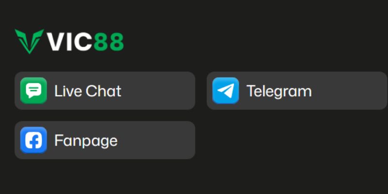 VIC88 có hệ thống hỗ trợ chuyên nghiệp và liên tục
